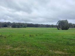 Airstrip, 40 acres, 4 bedroom house full