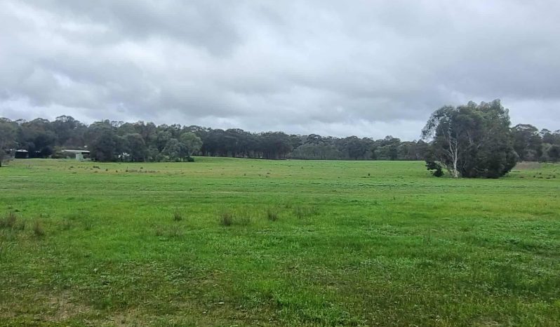 Airstrip, 40 acres, 4 bedroom house full