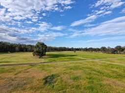 Airstrip, 40 acres, 4 bedroom house full