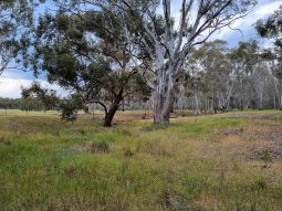 Airstrip, 40 acres, 4 bedroom house full