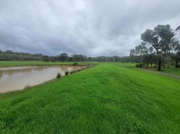 Airstrip, 40 acres, 4 bedroom house full