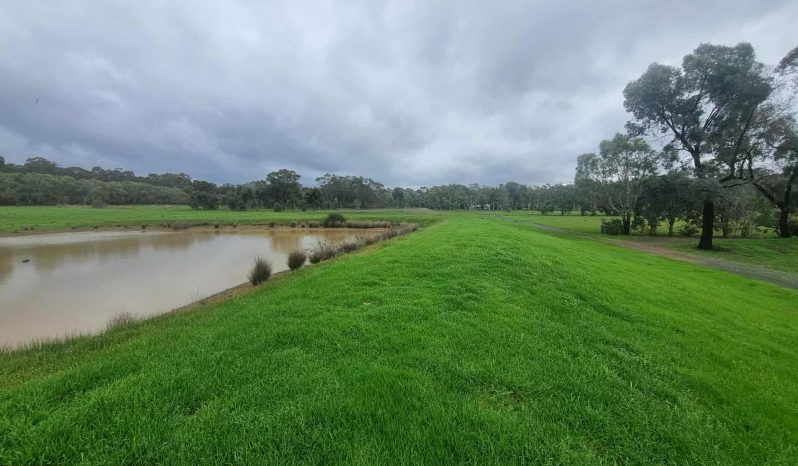 Airstrip, 40 acres, 4 bedroom house full