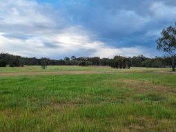 Airstrip, 40 acres, 4 bedroom house full
