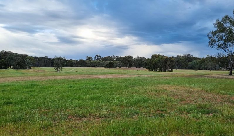 Airstrip, 40 acres, 4 bedroom house full