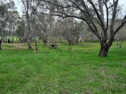 Airstrip, 40 acres, 4 bedroom house full