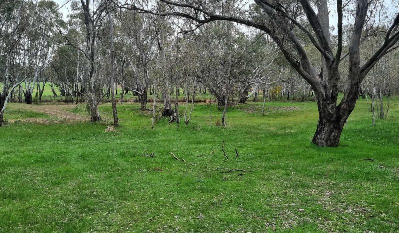 Airstrip, 40 acres, 4 bedroom house full